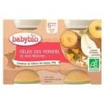Pack de deux petits pots Babybio Délice des Vergers, fruits, texture lisse, certifié AB