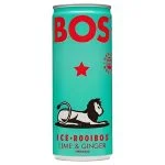 Canette turquoise Bos Ice Rooibos Lime Ginger bio, lion noir imprimé
