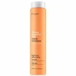 Flacon orange Erayba ABH shampoing repair 250 ml cheveux abîmés