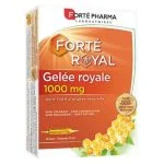 Étui orange Forté Pharma Forté Royal gelée royale 1000 mg ampoules