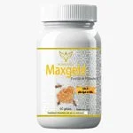Pot gris et doré Maxgelé Health Power, 60 gélules, gelée royale