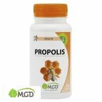 Flacon MGD Nature Propolis Vitalité 120 gélules, abeille et alvéoles