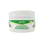 Pot blanc Rome Soins Vaseline Codex Figue de Barbarie, étiquette verte