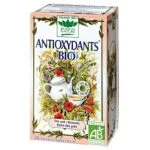 Étui pêche Romon Nature Tisane Antioxydants bio, thé vert et romarin