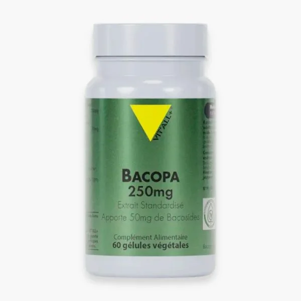 Vitall+ Bacopa 250mg Extrait Standardisé 50mg de Bacosides 60 Gélules