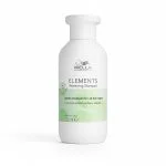 Flacon blanc à décor vert du shampooing Wella Elements Renewing 250 ml